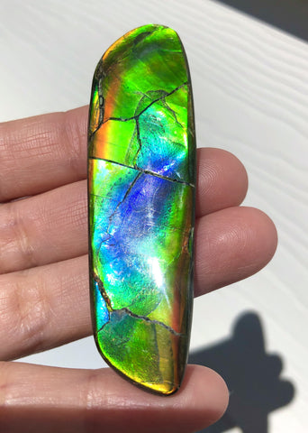 67x20 mm  High Grade Natural  Free Form . FFNT 145 Ammolite  ナチュラル　ルース　アンモライト
