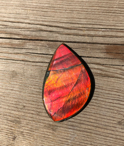 28 x 18  mm  - IMP-63-1 Natural Ammolite Double-Sided Imperial!　両面　ブライトカラー！レアルース　アンモライト