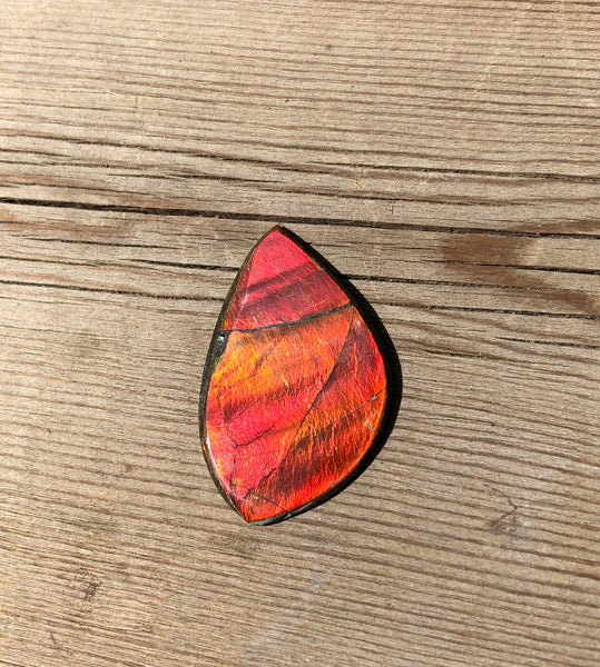 28 x 18  mm  - IMP-63-1 Natural Ammolite Double-Sided Imperial!　両面　ブライトカラー！レアルース　アンモライト