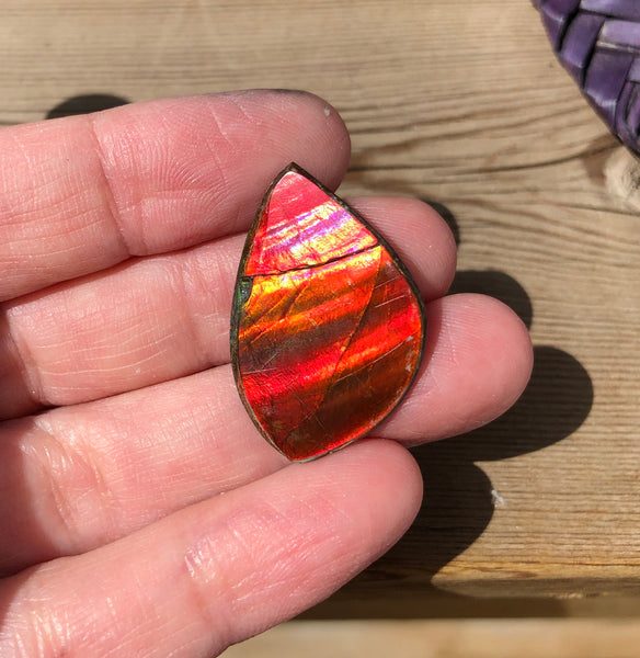 28 x 18  mm  - IMP-63-1 Natural Ammolite Double-Sided Imperial!　両面　ブライトカラー！レアルース　アンモライト