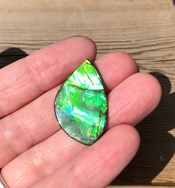 28 x 18  mm  - IMP-63-1 Natural Ammolite Double-Sided Imperial!　両面　ブライトカラー！レアルース　アンモライト