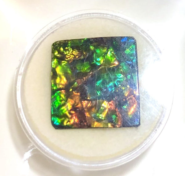 Suture Gem Beauty  35x35 mm  Natural  Free Form . FFNT 146 Ammolite  ナチュラル　ルース　アンモライト