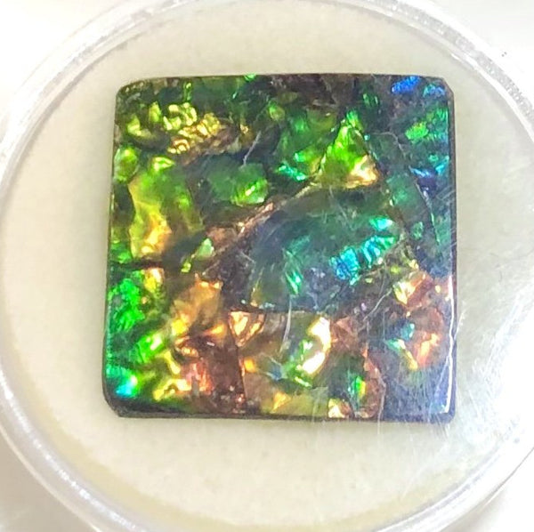 Suture Gem Beauty  35x35 mm  Natural  Free Form . FFNT 146 Ammolite  ナチュラル　ルース　アンモライト