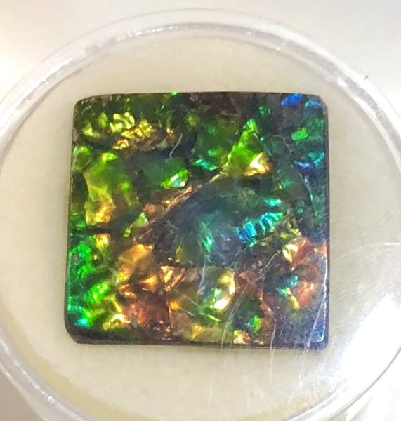 Suture Gem Beauty  35x35 mm  Natural  Free Form . FFNT 146 Ammolite  ナチュラル　ルース　アンモライト