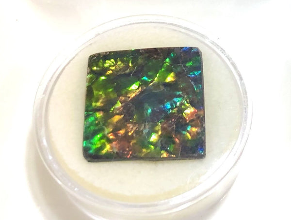 Suture Gem Beauty  35x35 mm  Natural  Free Form . FFNT 146 Ammolite  ナチュラル　ルース　アンモライト