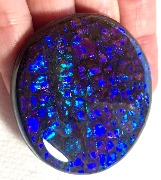 52x 51 x 7 mm Coated Free Form Dragonskin - FFC81   - アンモライト　ルース　