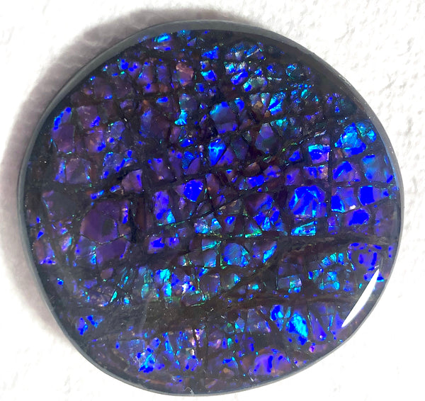 52x 51 x 7 mm Coated Free Form Dragonskin - FFC81   - アンモライト　ルース　