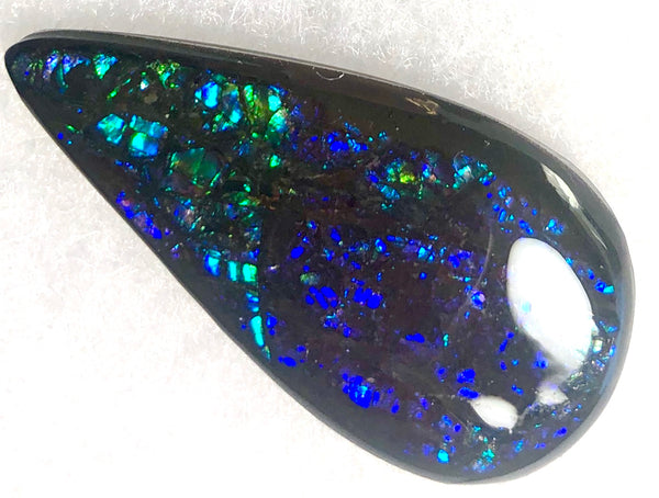 44 x 22 mm Coated Free Form Dragin skin - FFC82   - アンモライト　ルース　フリーフォーム