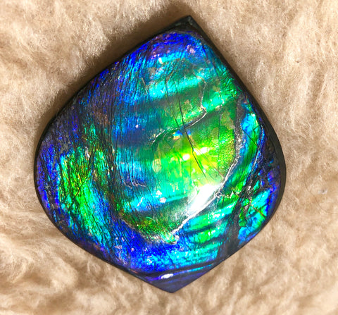 66x 55 mm Premium! Natural  Free Form . FFNT 126-2 bright purple blue and green **FREE SHIPPING**ナチュラル　ルース　アンモライト フリーフォーム