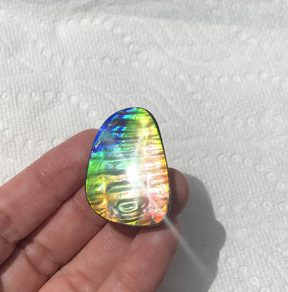 TOP grade 35x24 mm Old Gold Coin Pattern! Super Rare! Pattern Natural  Free Form . FFNT 147 Ammolite  ナチュラル　ルース　アンモライト