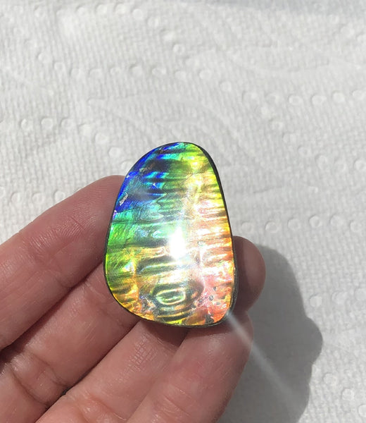 TOP grade 35x24 mm Old Gold Coin Pattern! Super Rare! Pattern Natural  Free Form . FFNT 147 Ammolite  ナチュラル　ルース　アンモライト