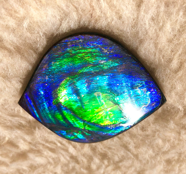 66x 55 mm Premium! Natural  Free Form . FFNT 126-2 bright purple blue and green **FREE SHIPPING**ナチュラル　ルース　アンモライト フリーフォーム