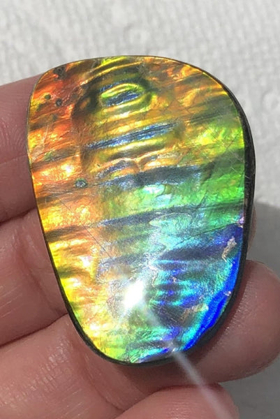 TOP grade 35x24 mm Old Gold Coin Pattern! Super Rare! Pattern Natural  Free Form . FFNT 147 Ammolite  ナチュラル　ルース　アンモライト