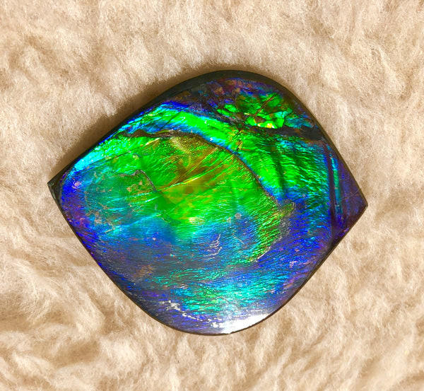 66x 55 mm Premium! Natural  Free Form . FFNT 126-2 bright purple blue and green **FREE SHIPPING**ナチュラル　ルース　アンモライト フリーフォーム