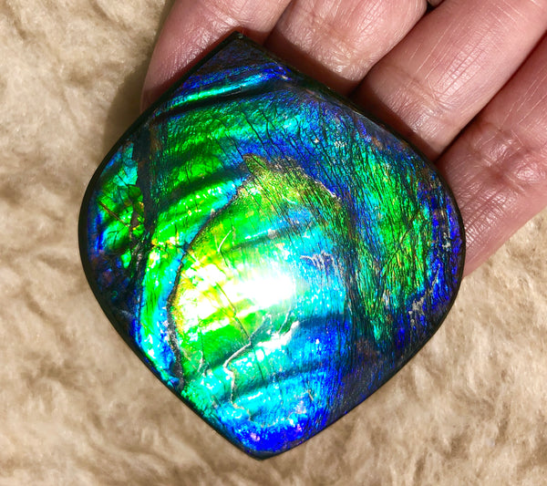 66x 55 mm Premium! Natural  Free Form . FFNT 126-2 bright purple blue and green **FREE SHIPPING**ナチュラル　ルース　アンモライト フリーフォーム