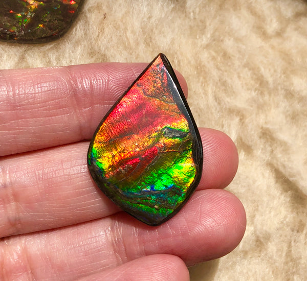 34 x 22  mm  - IMP-64 Natural Ammolite Double-Sided Rainbow Imperial!　両面　ブライトカラー！レアルース　アンモライト