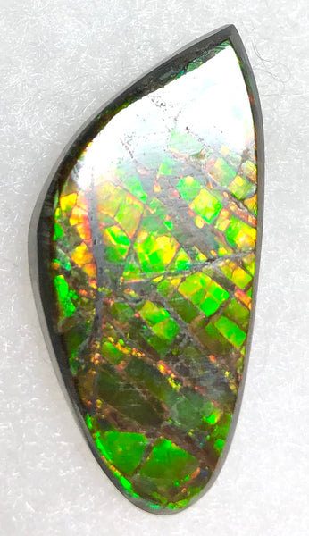 30  x 15 mm  Natural  Free Form . FFN351 Ammolite  ナチュラル　ルース　アンモライト フリーフォーム