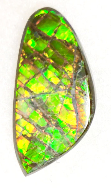 30  x 15 mm  Natural  Free Form . FFN351 Ammolite  ナチュラル　ルース　アンモライト フリーフォーム
