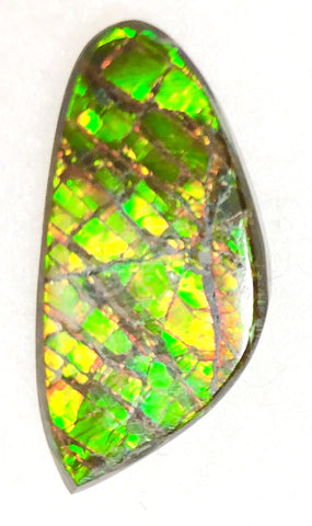 30  x 15 mm  Natural  Free Form . FFN351 Ammolite  ナチュラル　ルース　アンモライト フリーフォーム