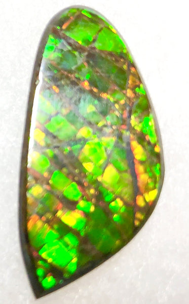 30  x 15 mm  Natural  Free Form . FFN351 Ammolite  ナチュラル　ルース　アンモライト フリーフォーム