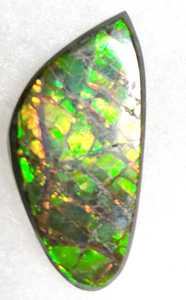 30  x 15 mm  Natural  Free Form . FFN351 Ammolite  ナチュラル　ルース　アンモライト フリーフォーム