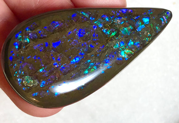 44 x 22 mm Coated Free Form Dragin skin - FFC82   - アンモライト　ルース　フリーフォーム