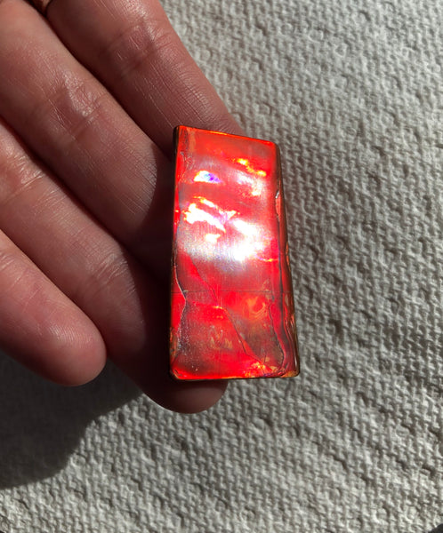 41 x22.5x3.8㎜  - IMP-73 RARE  Natural Ammolite Double-Sided Rainbow Beauty! 両面！ナチュラル レアルース アンモライト