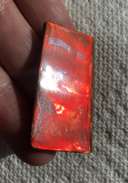 41 x22.5x3.8㎜  - IMP-73 RARE  Natural Ammolite Double-Sided Rainbow Beauty! 両面！ナチュラル レアルース アンモライト