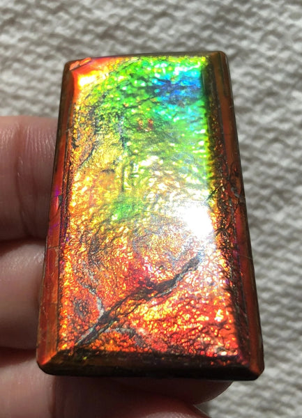 41 x22.5x3.8㎜  - IMP-73 RARE  Natural Ammolite Double-Sided Rainbow Beauty! 両面！ナチュラル レアルース アンモライト