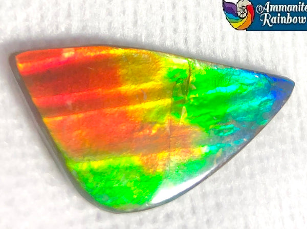 32  x 16.5 mm  Natural  Free Form . FFNT 106 Ammolite  ナチュラル　ルース　アンモライト フリーフォーム