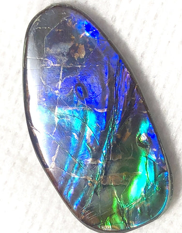 33x18mm    Natural  Free Form . FFN357  Ammolite  ナチュラル　ルース　アンモライト フリーフォーム