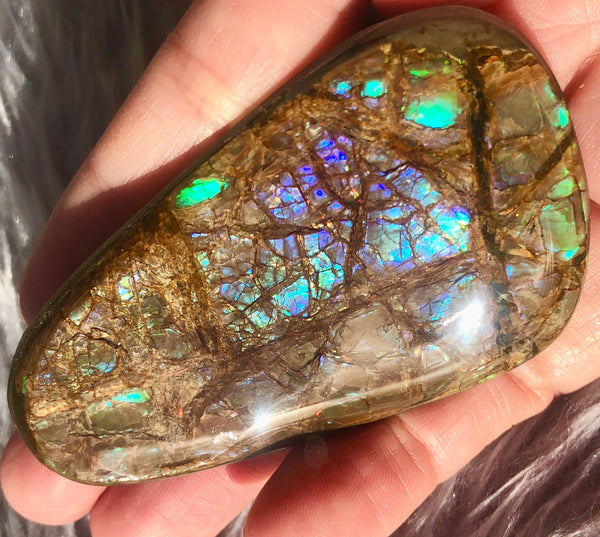 63 x 40 mm Coated Free Form Dragin skin - FFC83   - アンモライト　ルース　フリーフォーム