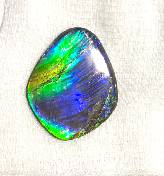 55 x 45mm Beautiful colors! Natural  Free Form . FFNT 130   ナチュラル　ルース　アンモライト フリーフォーム