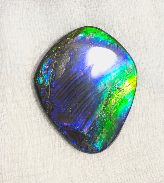 55 x 45mm Beautiful colors! Natural  Free Form . FFNT 130   ナチュラル　ルース　アンモライト フリーフォーム