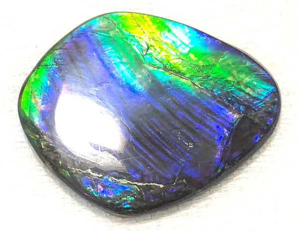 55 x 45mm Beautiful colors! Natural  Free Form . FFNT 130   ナチュラル　ルース　アンモライト フリーフォーム