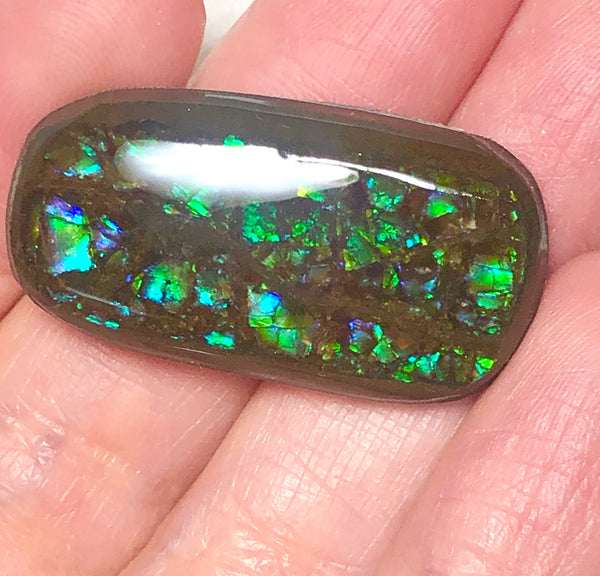 31 x 16 mm Coated Free Form Dragon skin - FFC84   - アンモライト　ルース　フリーフォーム