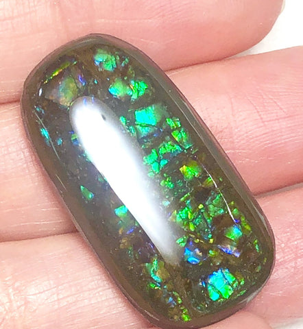 31 x 16 mm Coated Free Form Dragon skin - FFC84   - アンモライト　ルース　フリーフォーム