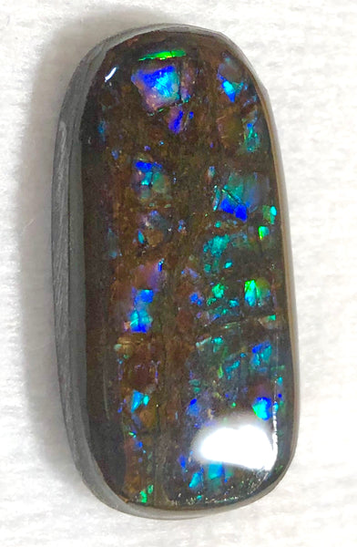 31 x 16 mm Coated Free Form Dragon skin - FFC84   - アンモライト　ルース　フリーフォーム