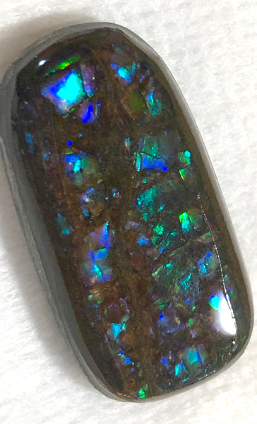 31 x 16 mm Coated Free Form Dragon skin - FFC84   - アンモライト　ルース　フリーフォーム