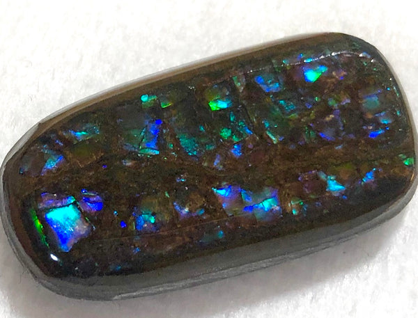 31 x 16 mm Coated Free Form Dragon skin - FFC84   - アンモライト　ルース　フリーフォーム