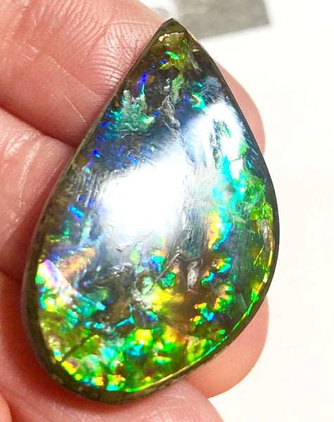 30  x 19 mm  Natural  Free Form . FFN352 Ammolite  ナチュラル　ルース　アンモライト フリーフォーム