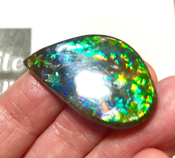 30  x 19 mm  Natural  Free Form . FFN352 Ammolite  ナチュラル　ルース　アンモライト フリーフォーム