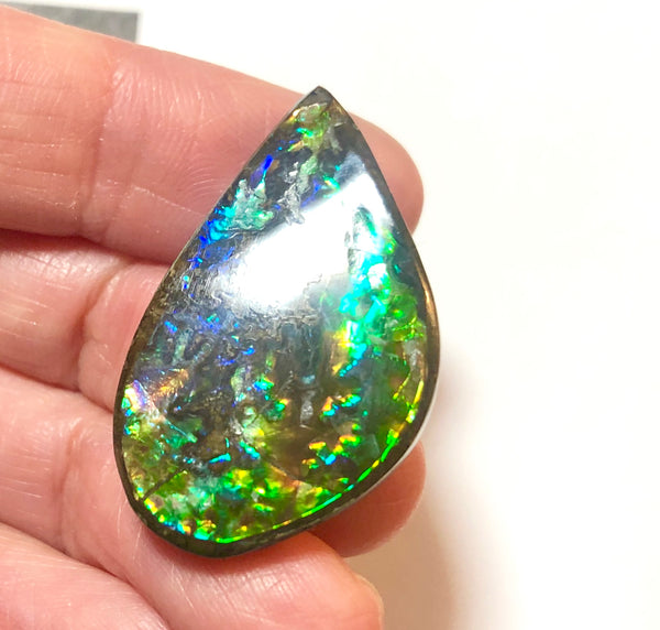 30  x 19 mm  Natural  Free Form . FFN352 Ammolite  ナチュラル　ルース　アンモライト フリーフォーム
