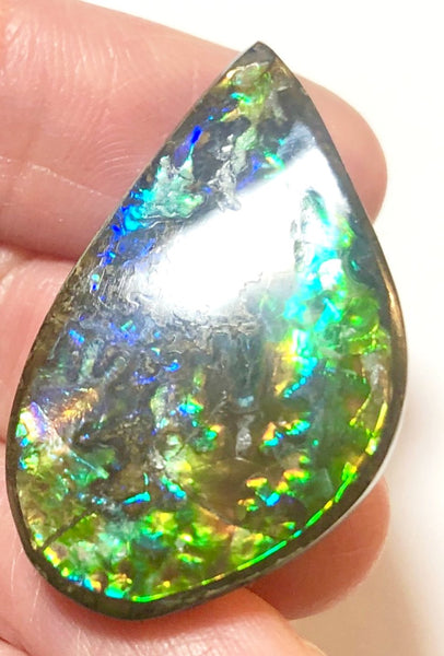 30  x 19 mm  Natural  Free Form . FFN352 Ammolite  ナチュラル　ルース　アンモライト フリーフォーム