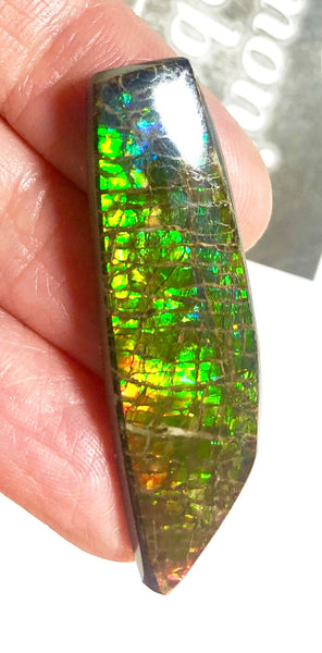 42 x 12 mm  Natural  Free Form . FFN353 Ammolite  ナチュラル　ルース　アンモライト フリーフォーム