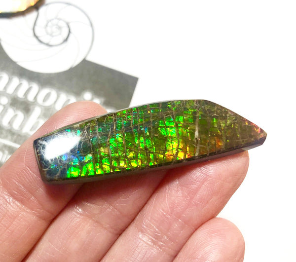 42 x 12 mm  Natural  Free Form . FFN353 Ammolite  ナチュラル　ルース　アンモライト フリーフォーム