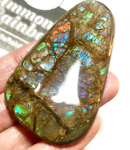 63 x 40 mm Coated Free Form Dragin skin - FFC83   - アンモライト　ルース　フリーフォーム