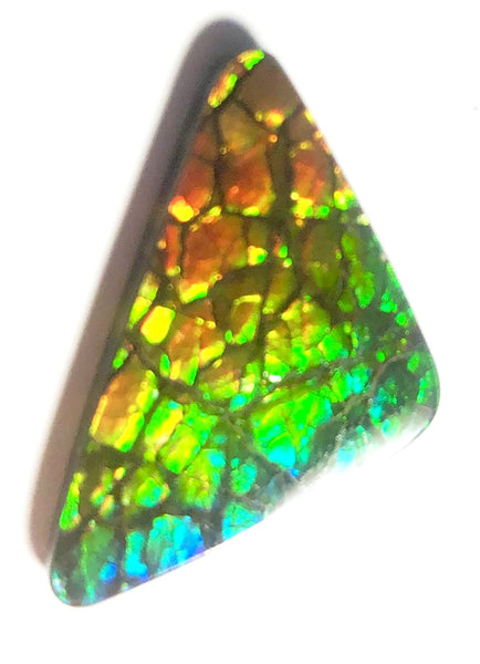 30% OFF 26  x 15 mm  Top Grade Natural  Free Form . FFNT 109 Ammolite  ナチュラル　ルース　アンモライト フリーフォーム