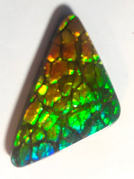 30% OFF 26  x 15 mm  Top Grade Natural  Free Form . FFNT 109 Ammolite  ナチュラル　ルース　アンモライト フリーフォーム