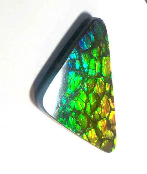 30% OFF 26  x 15 mm  Top Grade Natural  Free Form . FFNT 109 Ammolite  ナチュラル　ルース　アンモライト フリーフォーム